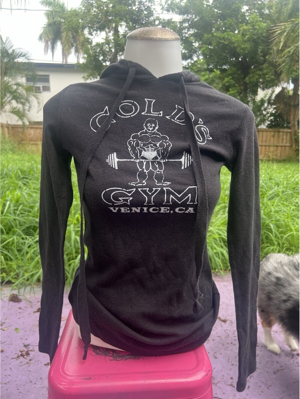 Golds Gym Venice California Women's Knit Hooded Sweater
